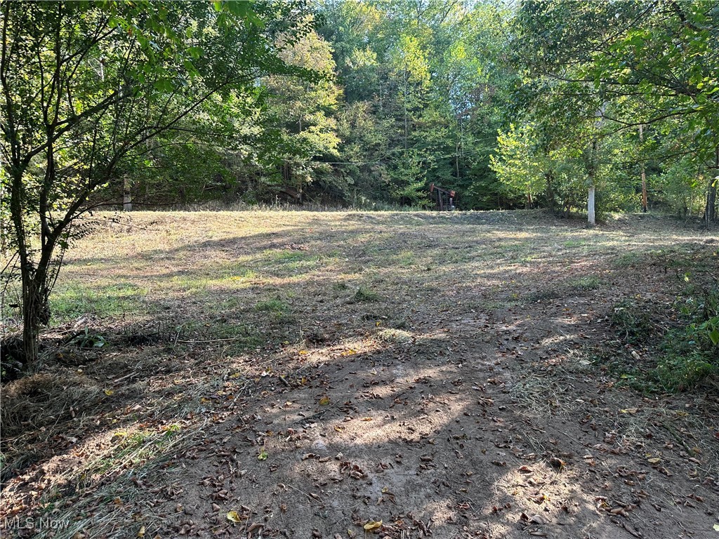 1 River Road Walton, WV 25286 - Photo 8 of 22