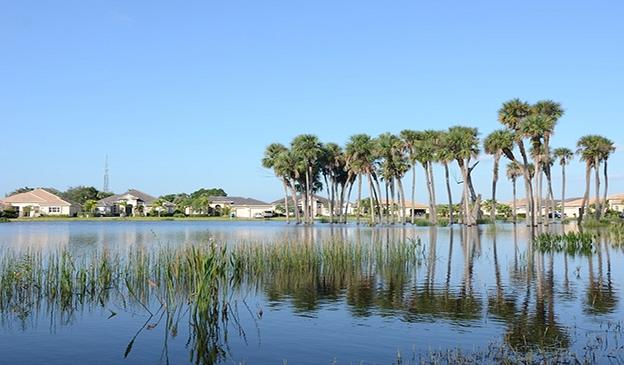 288 Southwest Lost River Road, Unit 28 Stuart, FL 34997 - Photo 23 of 23 plants lr