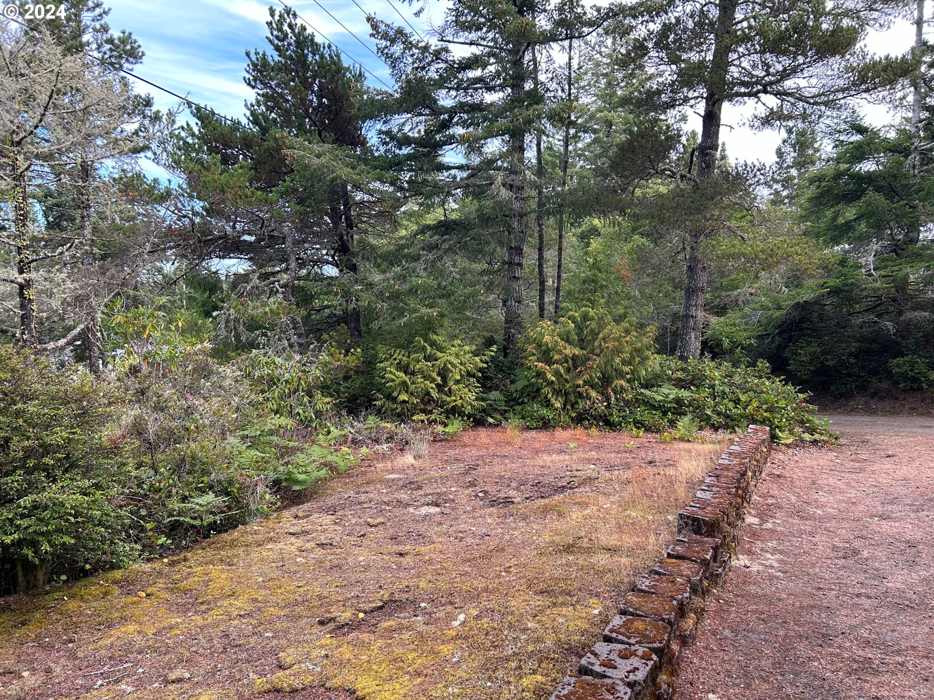 87179 Munsel Lake Road Florence, OR 97439 - Photo 22 of 27 a view of a plants with large trees