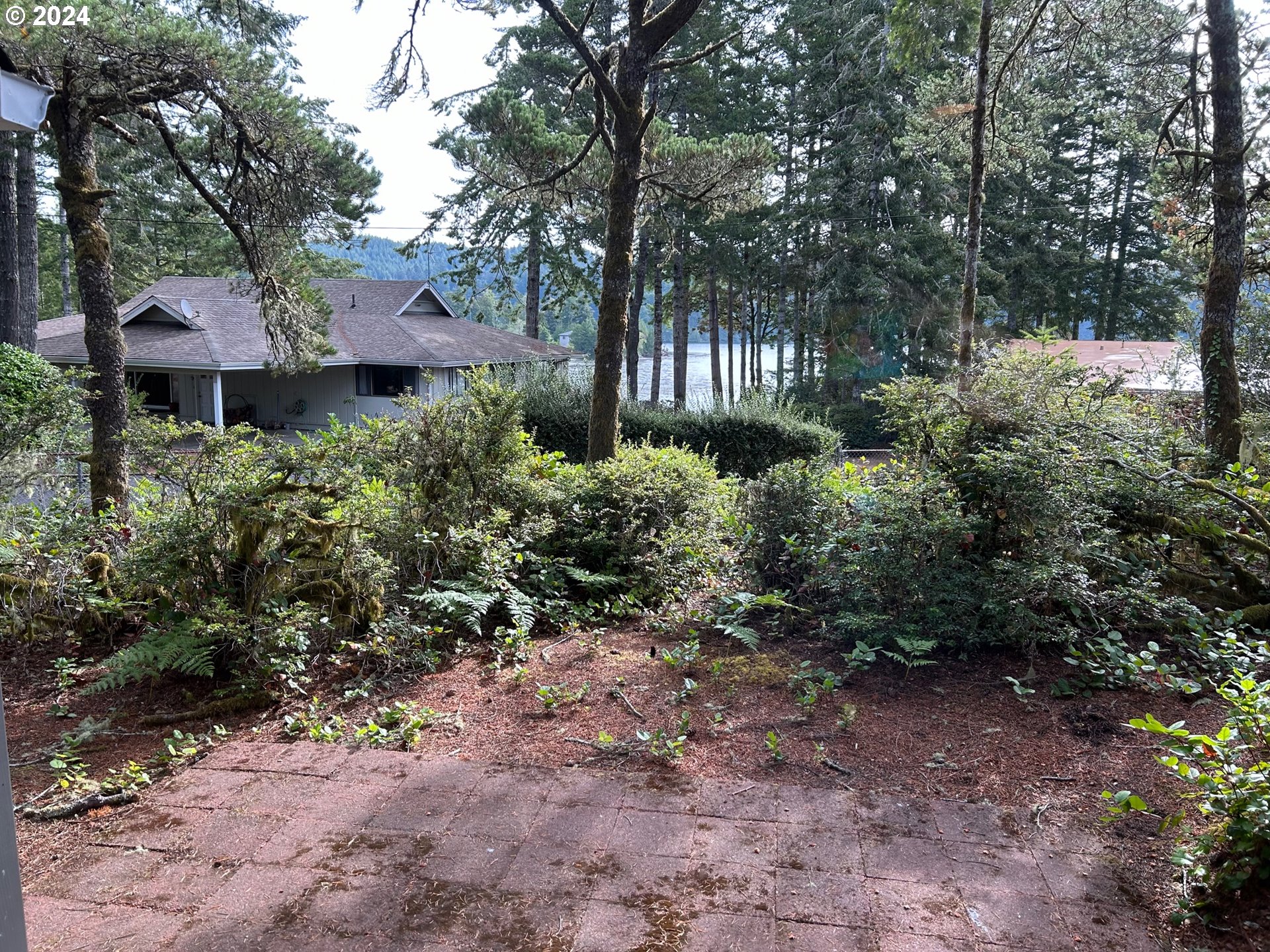87179 Munsel Lake Road Florence, OR 97439 - Photo 23 of 27 a view of a house with a yard and tree s