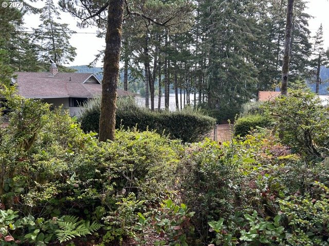 87179 Munsel Lake Road Florence, OR 97439 - Photo 24 of 27 a view of a garden