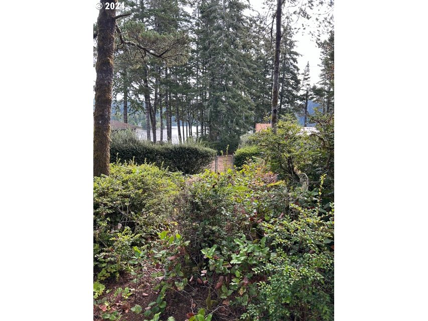 87179 Munsel Lake Road Florence, OR 97439 - Photo 25 of 27 a view of a yard with plants and trees