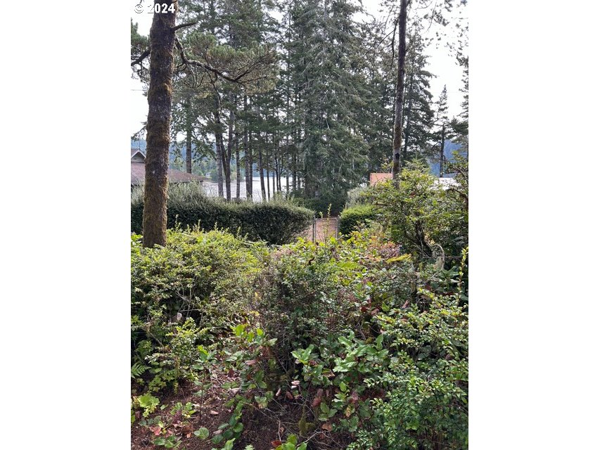 87179 Munsel Lake Road Florence, OR 97439 - Photo 27 of 27 a backyard of a house with lots of green space