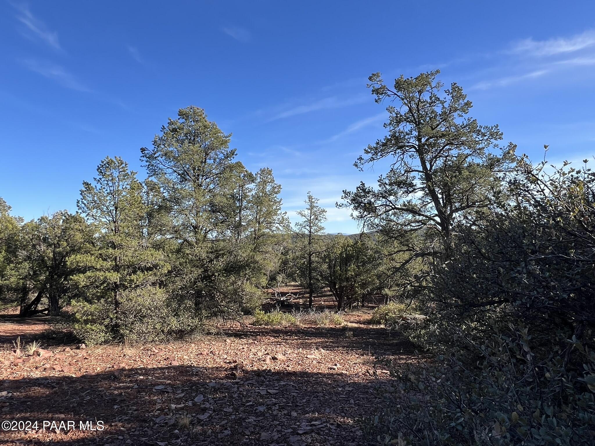 49 Southwest Norma Way Ash Fork, AZ 86320 - Photo 11 of 13 a view of a yard with a tree