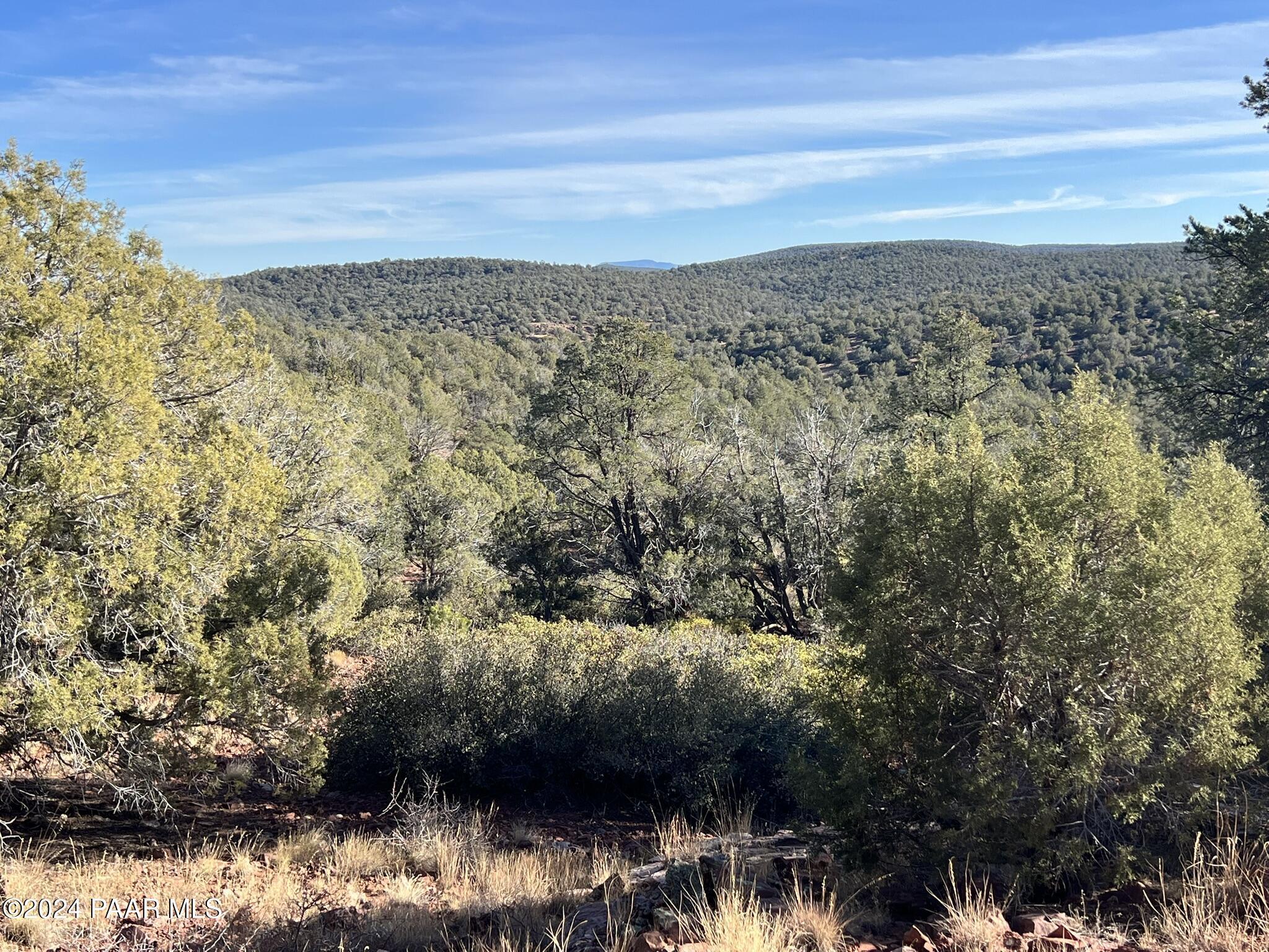 49 Southwest Norma Way Ash Fork, AZ 86320 - Photo 12 of 13 a view of city and mountain