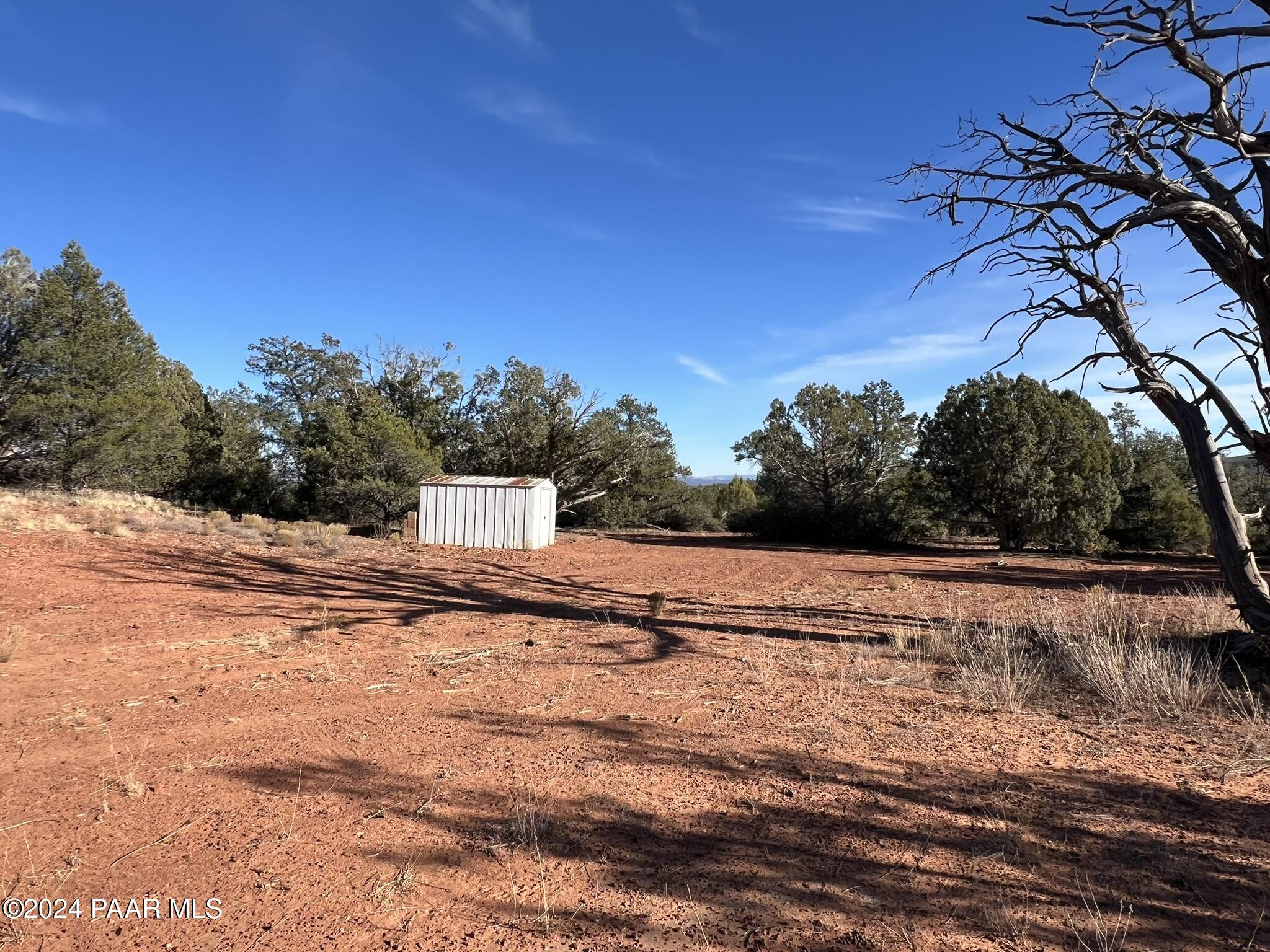 49 Southwest Norma Way Ash Fork, AZ 86320 - Photo 6 of 13 a view of a dry yard with trees