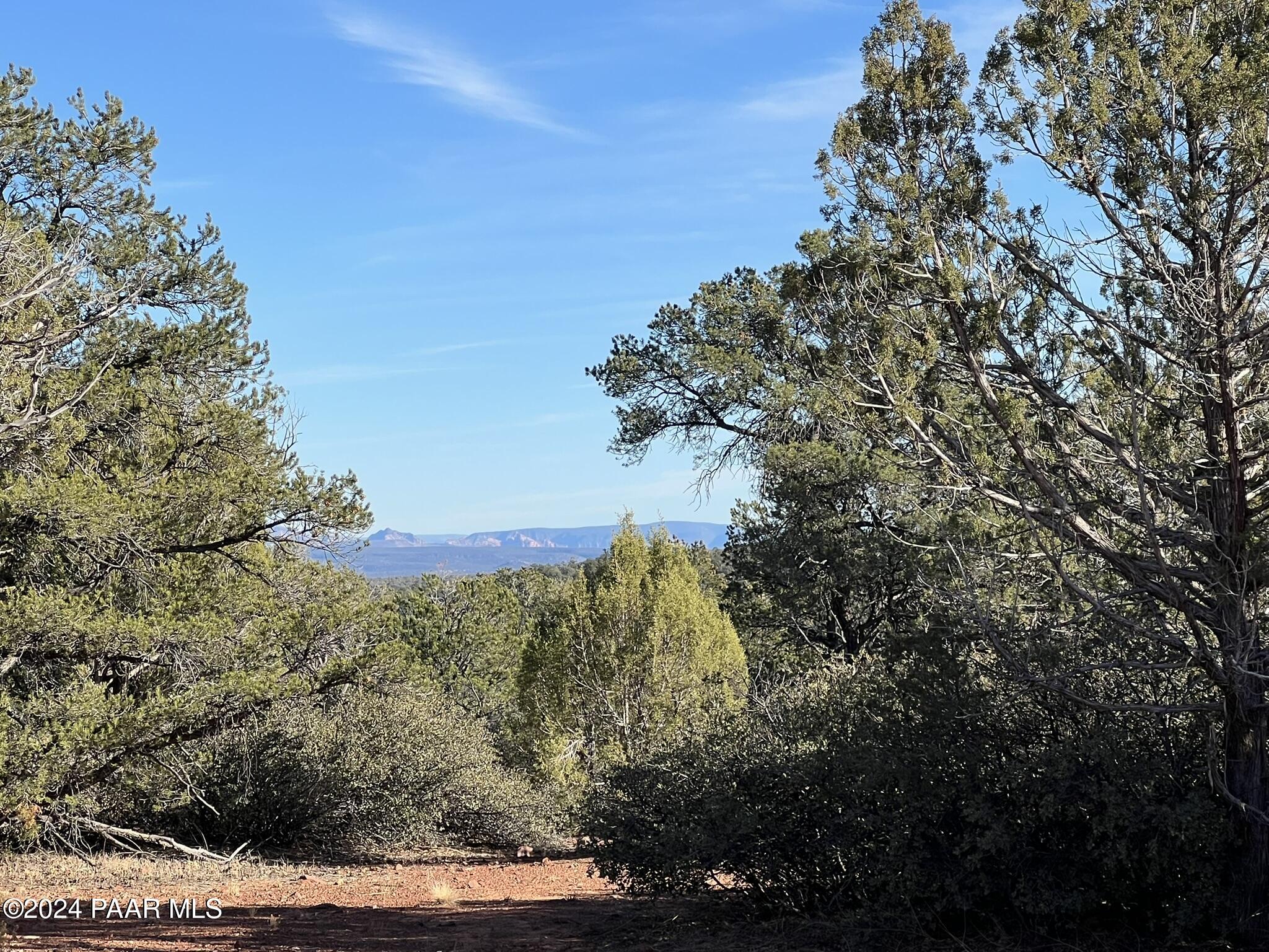 49 Southwest Norma Way Ash Fork, AZ 86320 - Photo 7 of 13 a view of a yard with a tree
