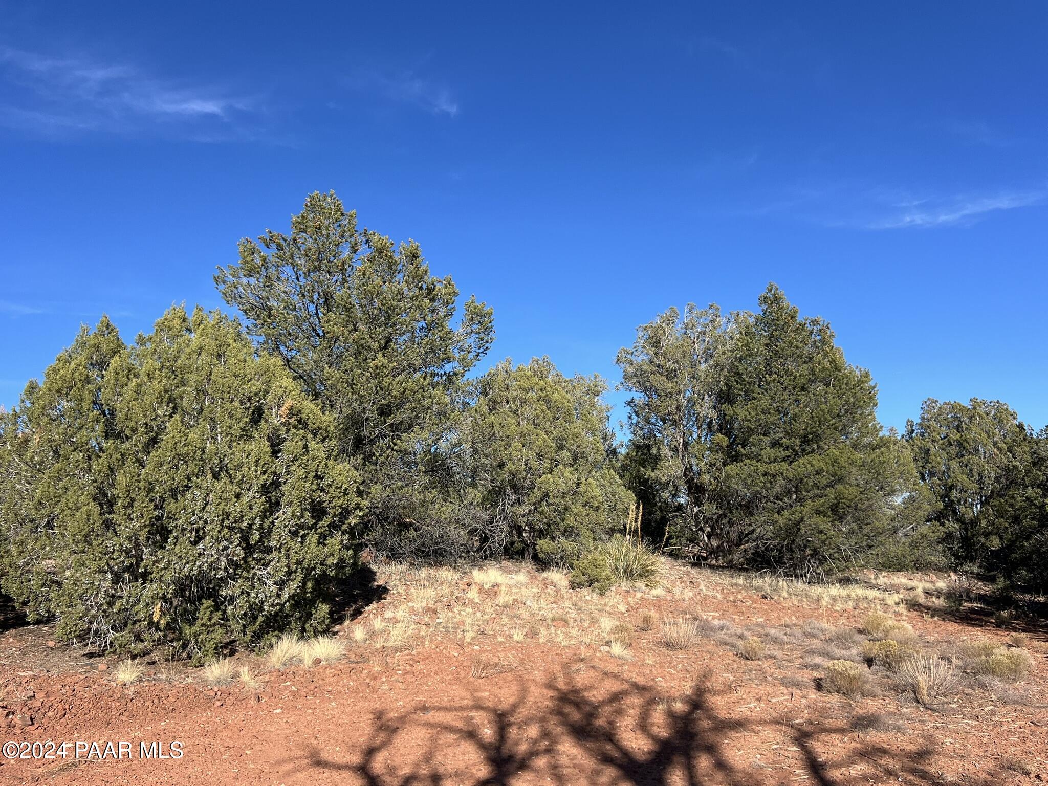 49 Southwest Norma Way Ash Fork, AZ 86320 - Photo 8 of 13 a view of a yard with a tree