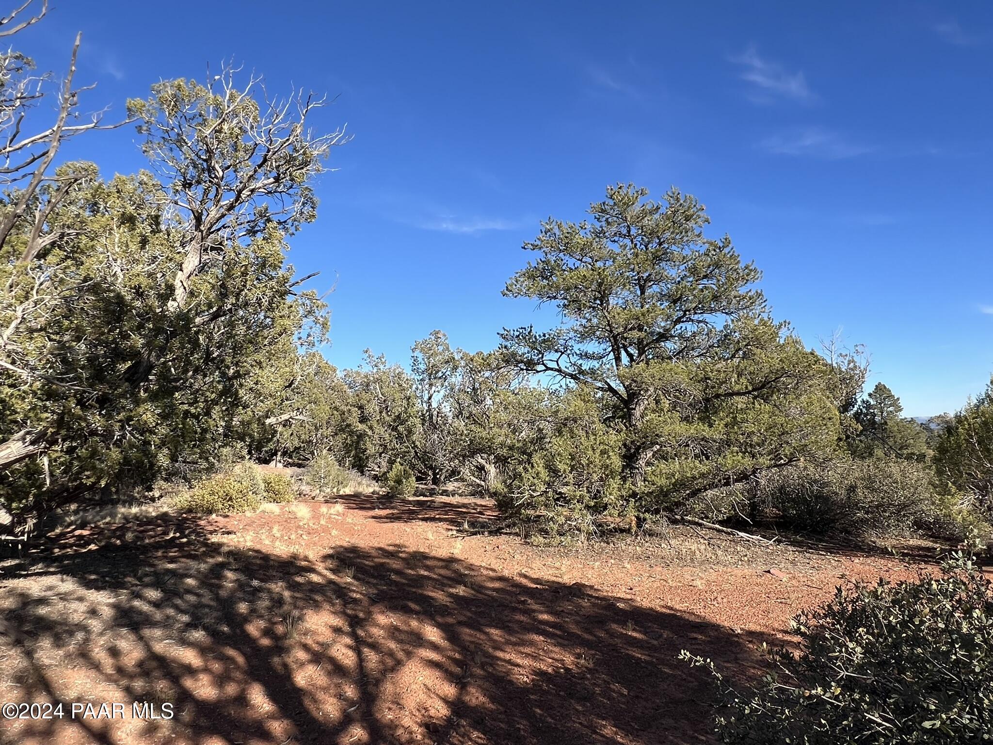 49 Southwest Norma Way Ash Fork, AZ 86320 - Photo 8 of 12 a view of a yard with a tree