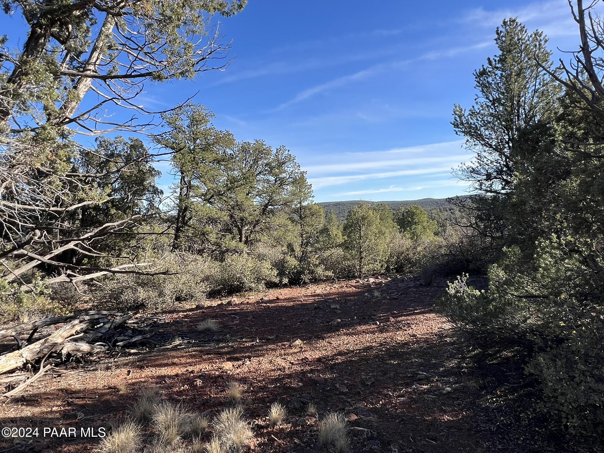 49 Southwest Norma Way Ash Fork, AZ 86320 - Photo 10 of 13 a view of a yard with a tree