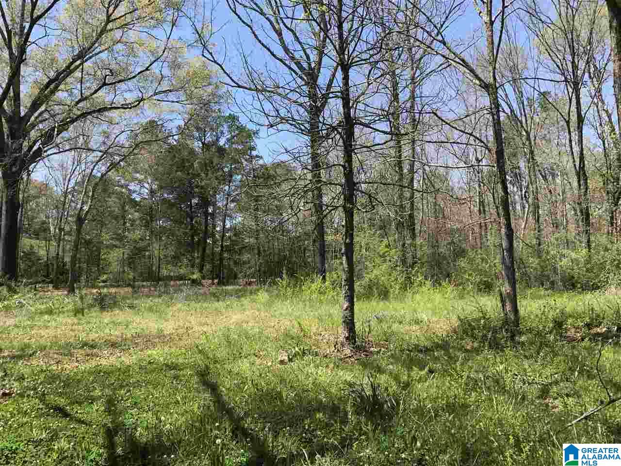 4133 Roy Webb Road, Unit 1 Jacksonville, AL 36265 - Photo 8 of 40