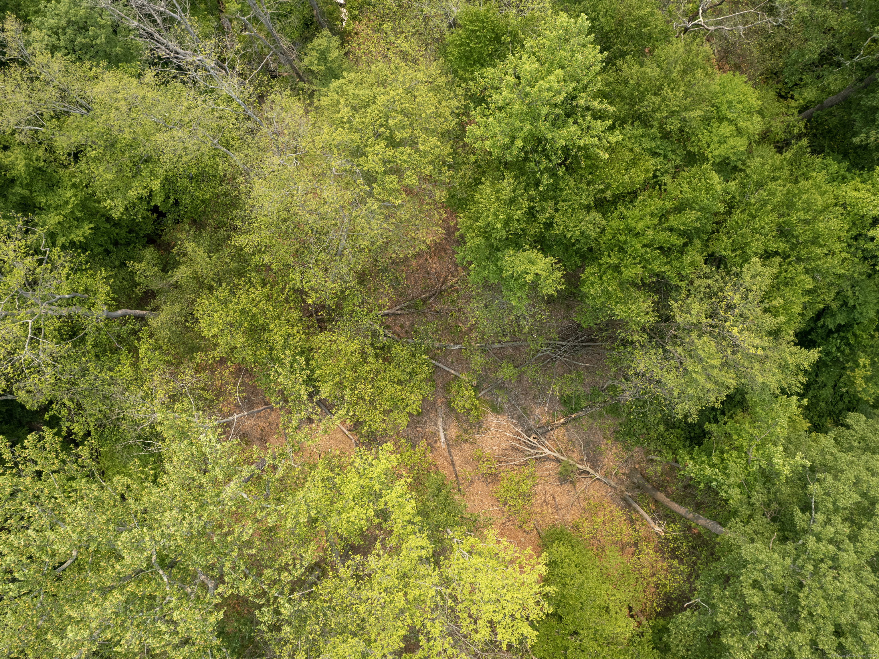 South Salem Road Ridgefield, CT 06877 - Photo 3 of 10 a view of a yard