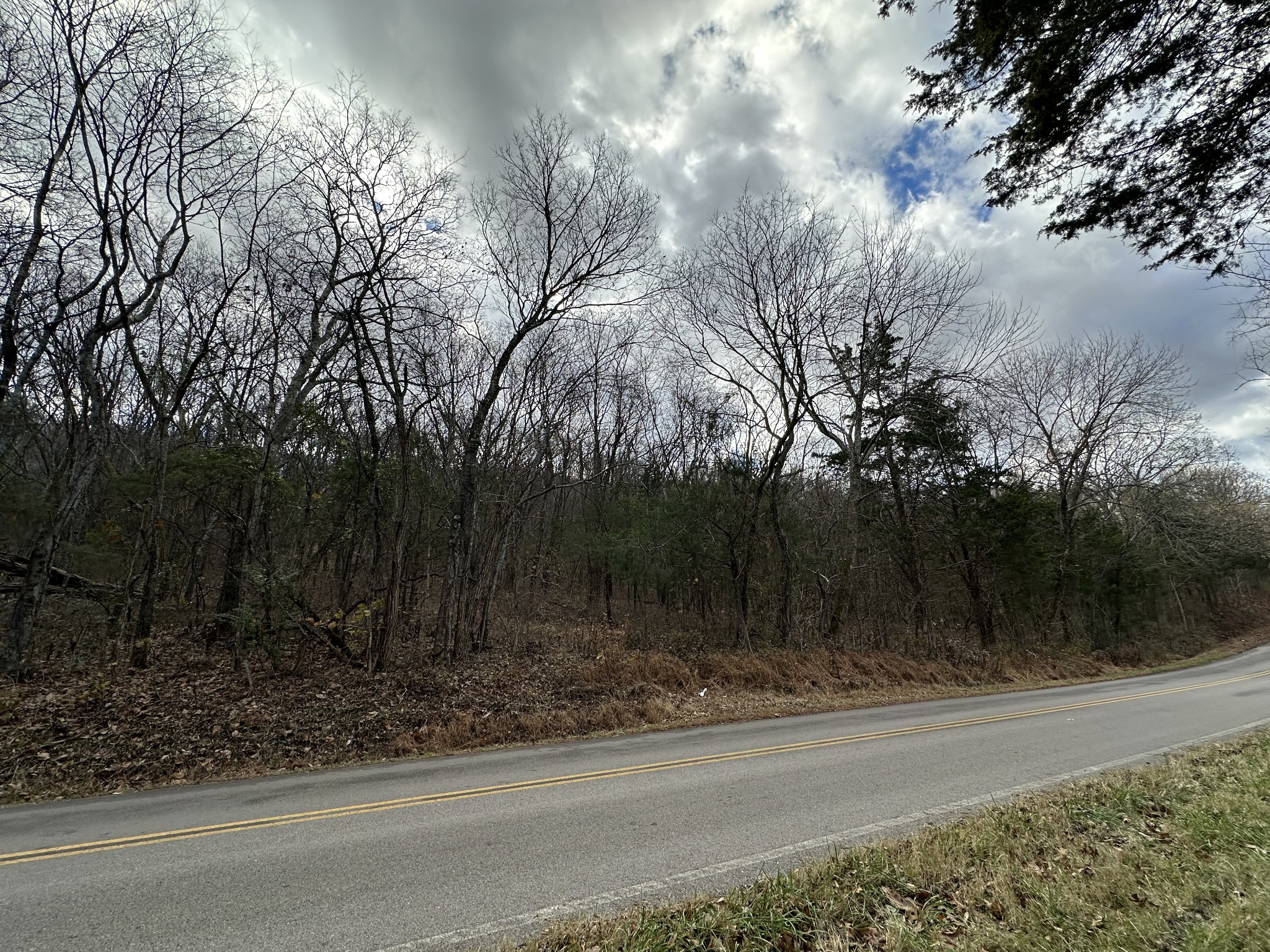 0 Sherrilltown Road Watertown, TN 37184 - Photo 1 of 4 a view of a yard