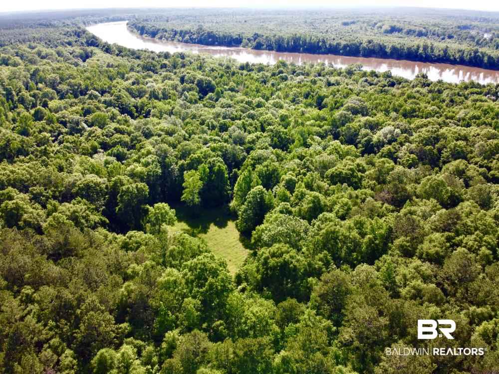 0 Country Road Uriah, AL 36480 - Photo 22 of 49