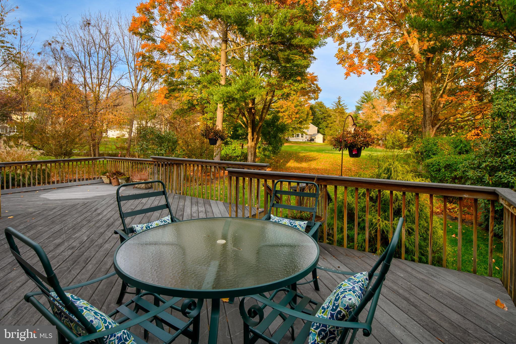 5021 Whetstone Road Columbia, MD 21044 - Photo 44 of 59 Deck (alt view)