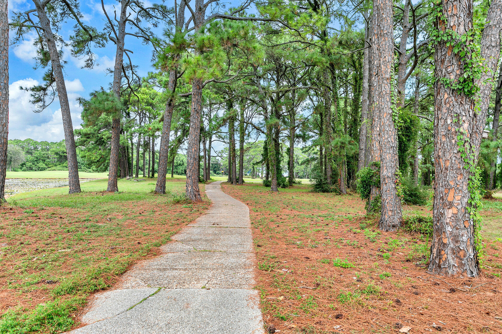 277 Sunset Bay, Unit 27A Miramar Beach, FL 32550 - Photo 32 of 42 a view of a yard with plants and trees