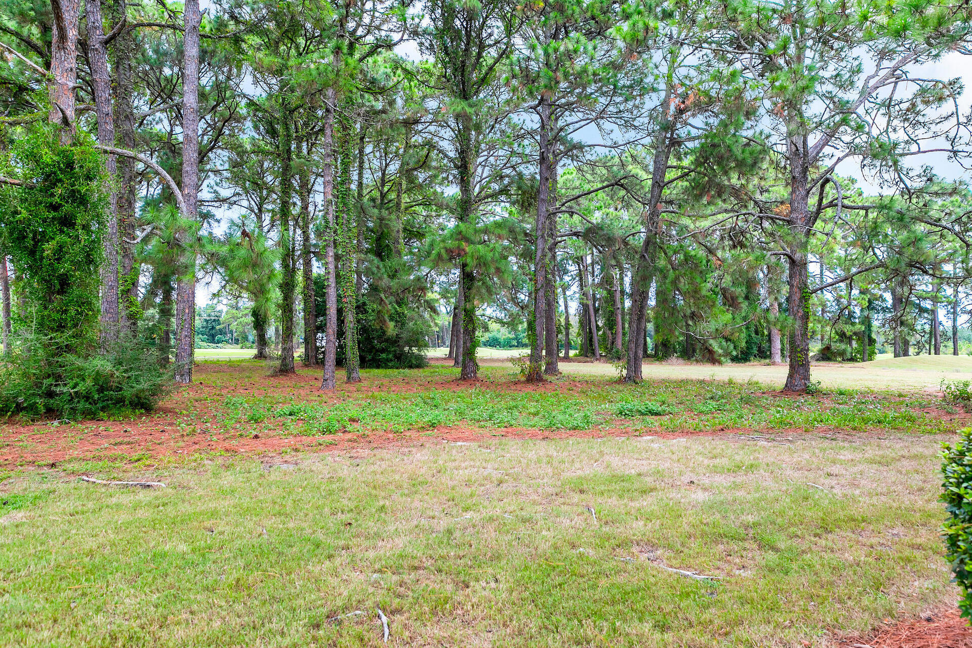 277 Sunset Bay, Unit 27A Miramar Beach, FL 32550 - Photo 36 of 42 a green field with lots of trees