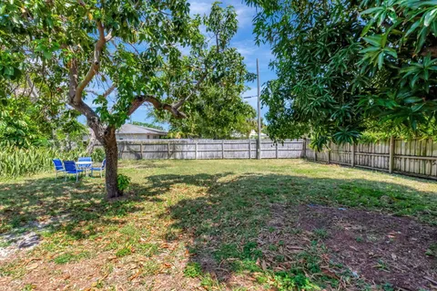 a view of park with large trees