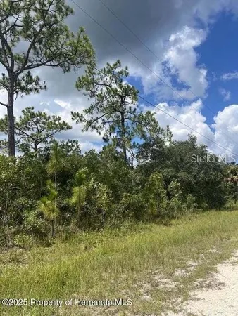 $75,000 | 10194 Yellow Frog Avenue, Weeki Wachee, FL 34614