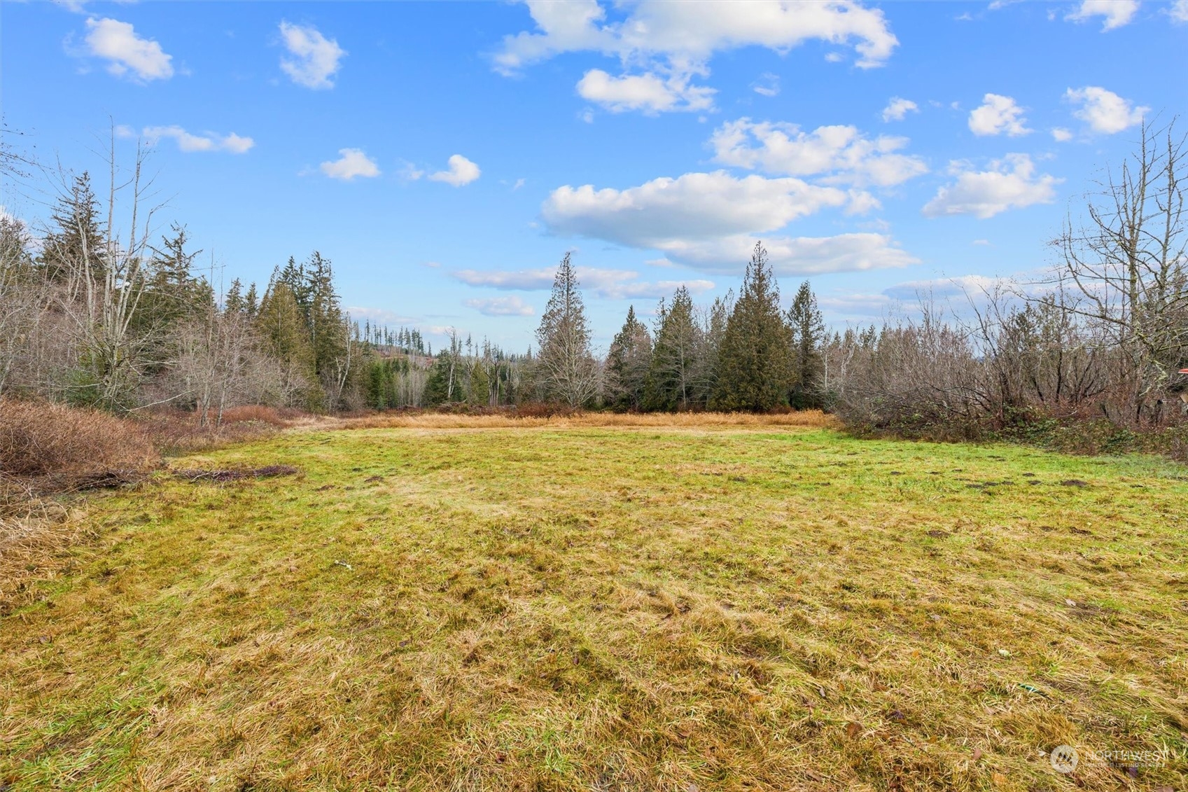 32717 Sultan Basin Road Sultan, WA 98294 - Photo 31 of 31 a view of a yard with an trees