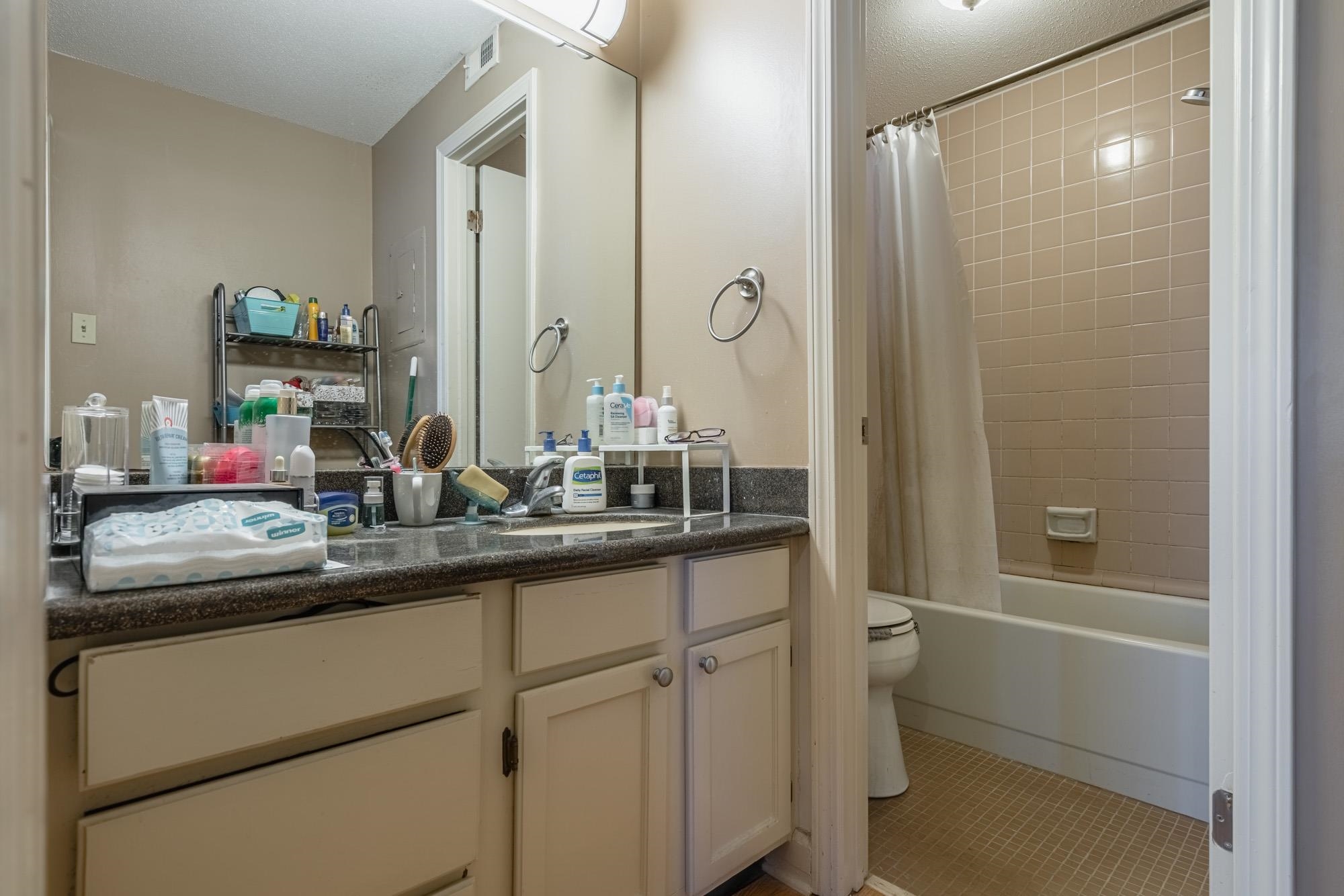 109 North Main Street, Unit 908 Memphis, TN 38103 - Photo 17 of 22 a bathroom with a sink and a mirror