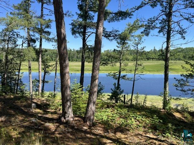 7168 Gold Mine Road Orr, MN 55771 - Photo 5 of 40