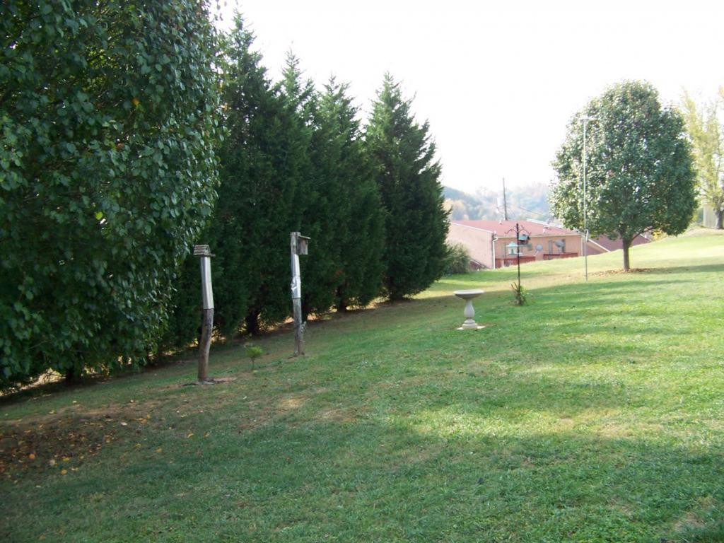 150 Pactolus Road Kingsport, TN 37663 - Photo 30 of 31 Lovely Yard
