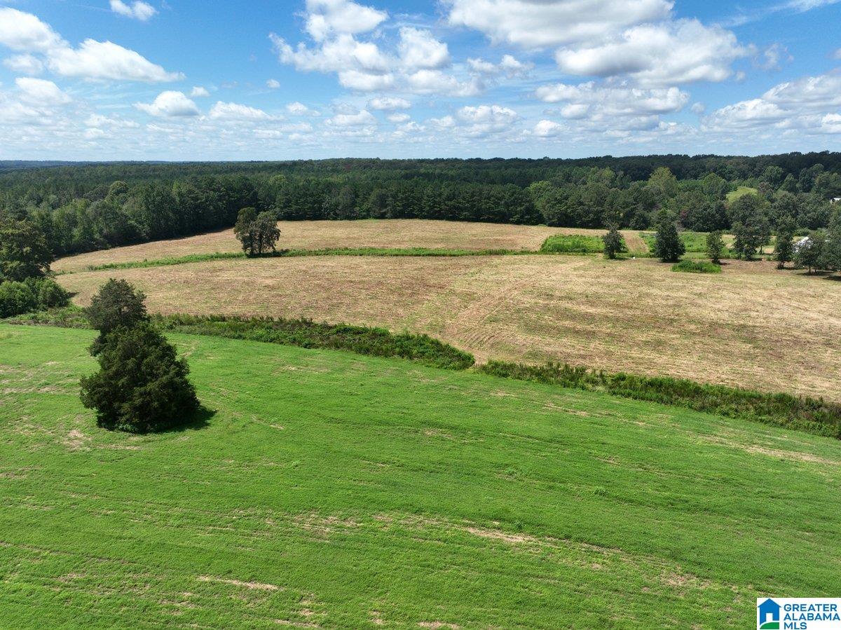 70 Nobinger Road Falkville, AL 35622 - Photo 17 of 23 Gallery Image 17