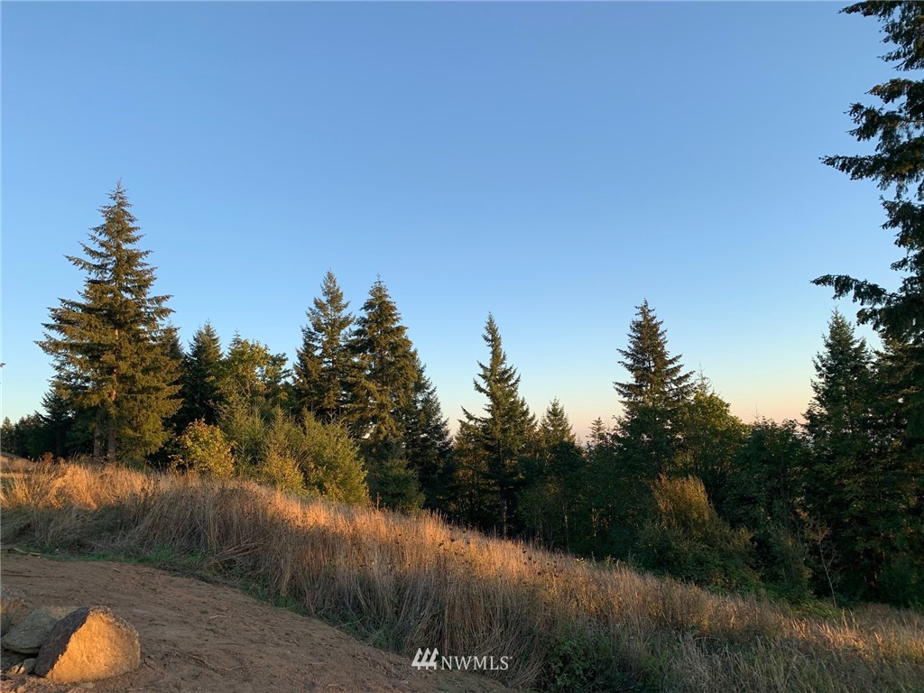 -lot R Lot R Olivia Lane Kalama, WA 98625 - Photo 5 of 6 Gallery Image 5
