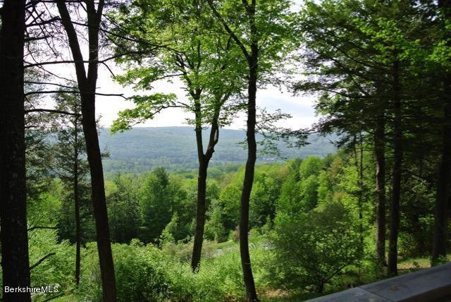 134 E Road Alford, MA 01266 - Photo 22 of 22 DSC_3185