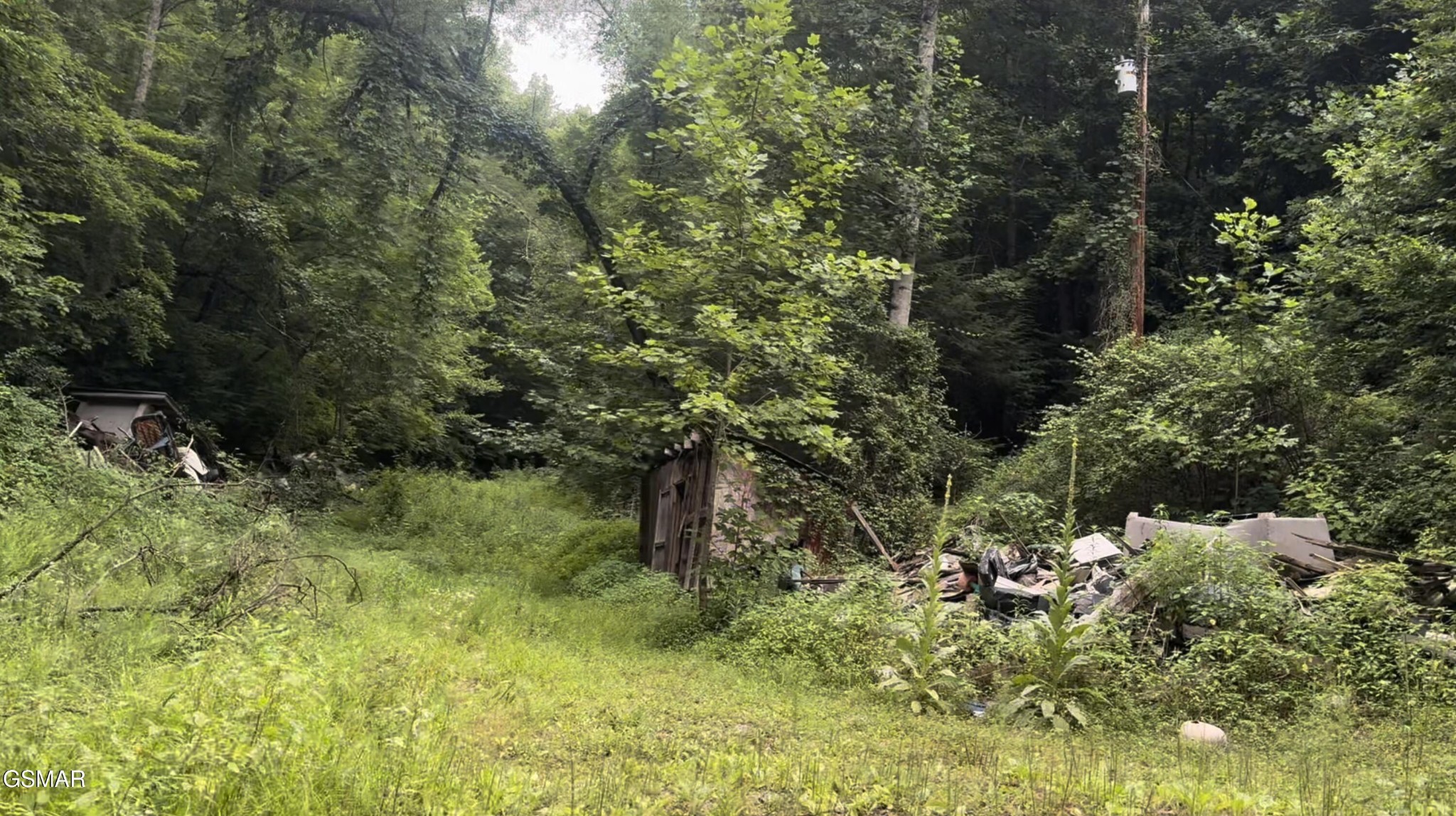 1210 Laurel Lick Road Pigeon Forge, TN 37862 - Photo 6 of 15