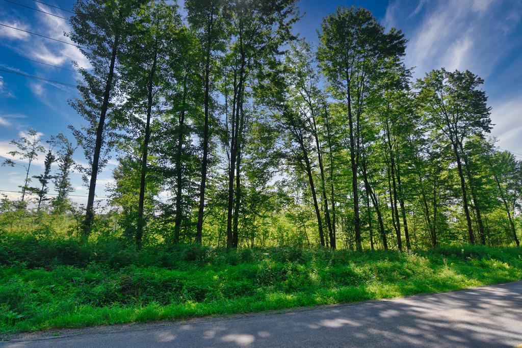 0 South Norrisville Road Meadville, PA 16335 - Photo 2 of 10