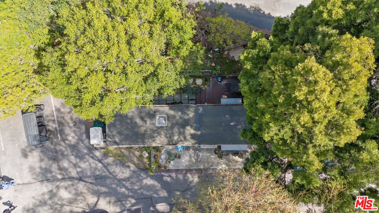 2 Paradise Cove Road Malibu, CA 90265 - Photo 8 of 24 a view of a plants with yard