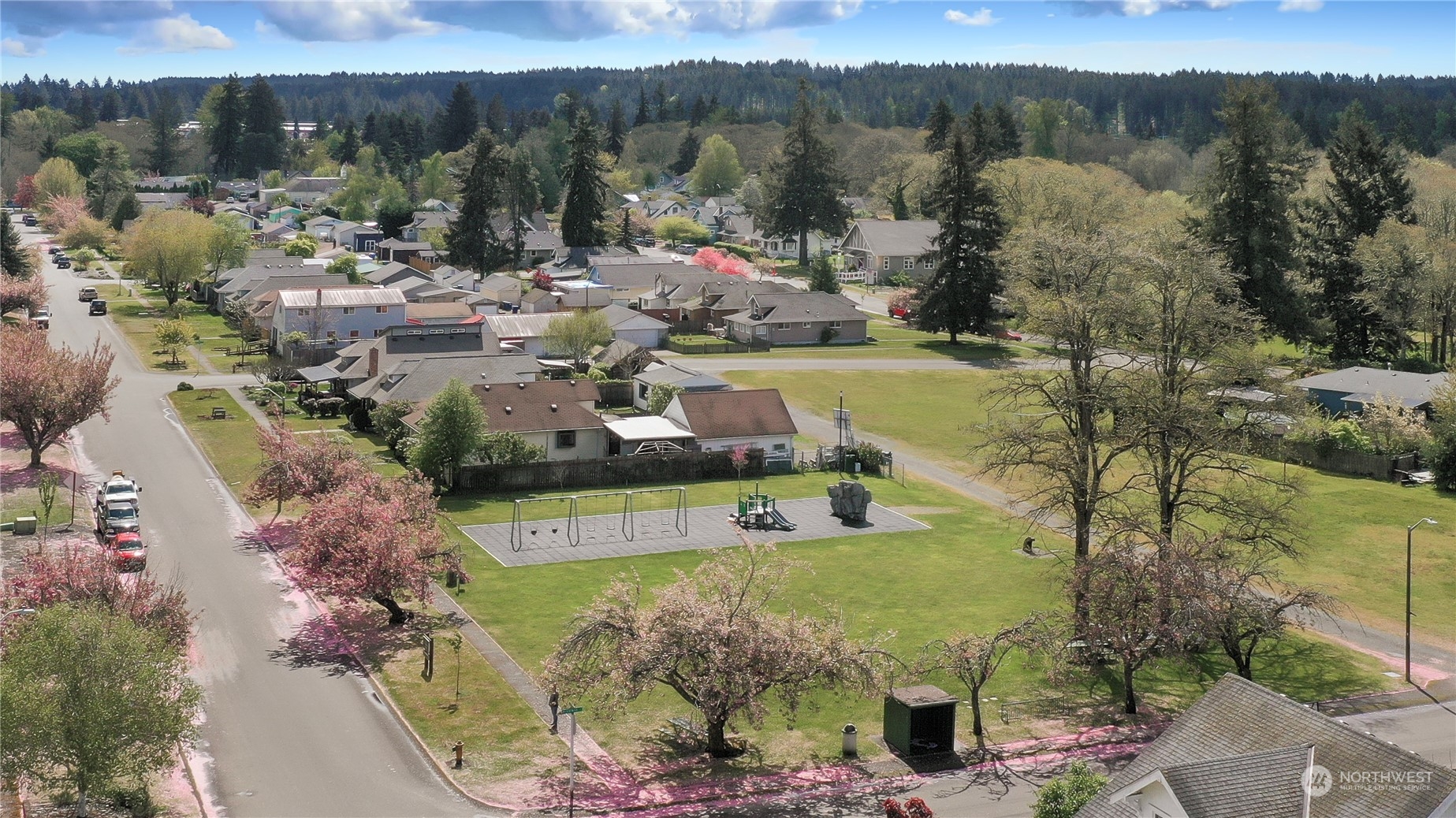 818 Haskell Street DuPont, WA 98327 - Photo 23 of 26 a view of a lake with a mountain