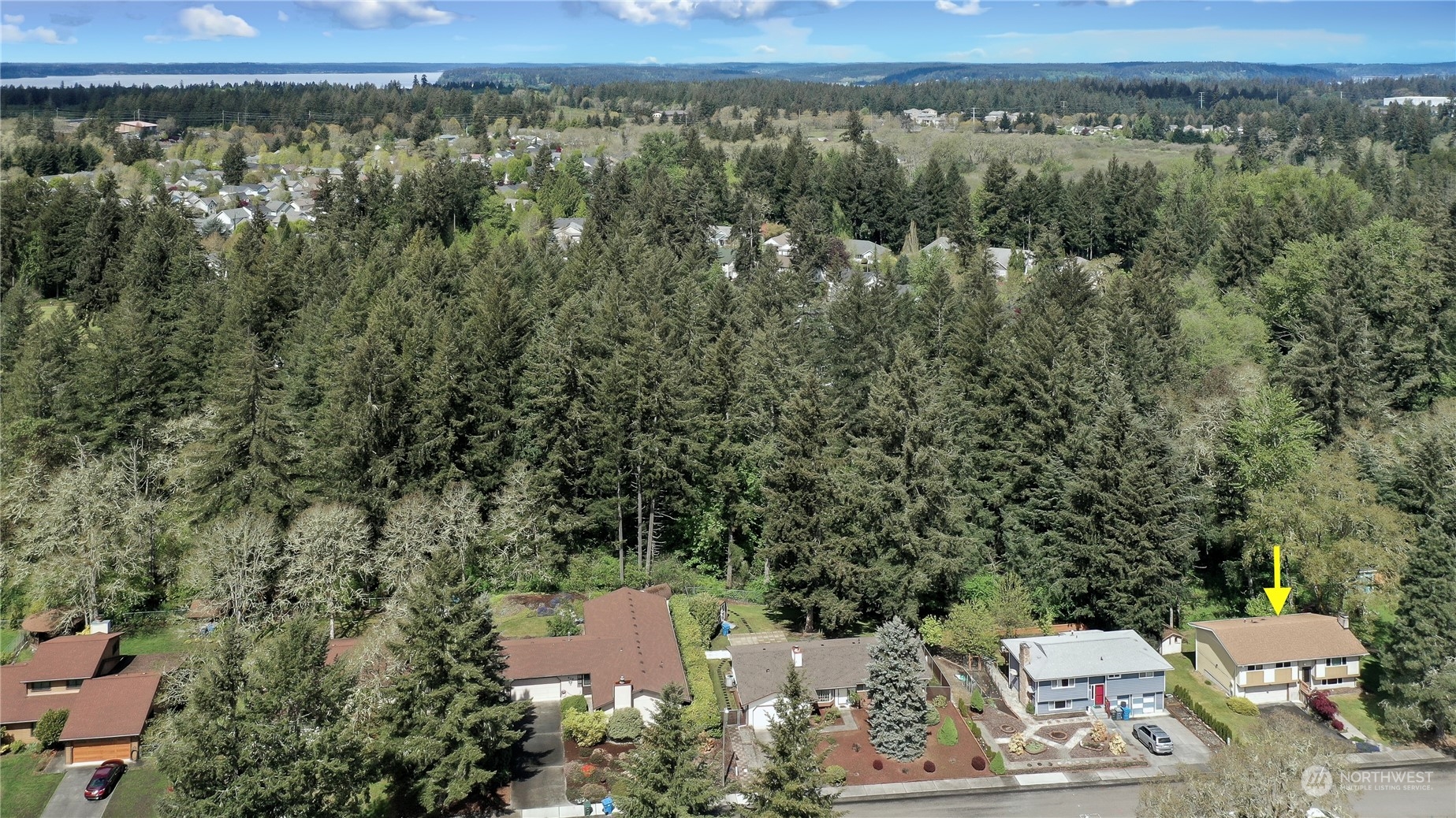 818 Haskell Street DuPont, WA 98327 - Photo 24 of 26 an aerial view of a house with a yard