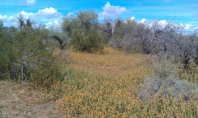 39308 West Alta Vista Road, Unit 116 Tonopah, AZ 85354 - Photo 1 of 2 flowers