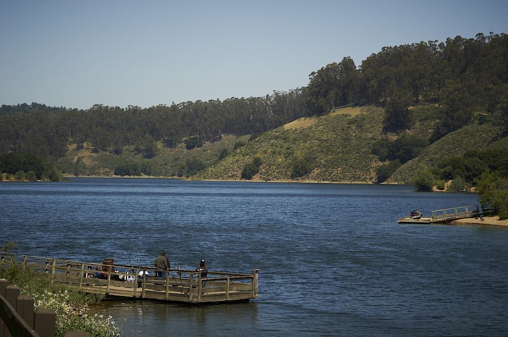 4515 Ewing Road Castro Valley, CA 94546 - Photo 38 of 41