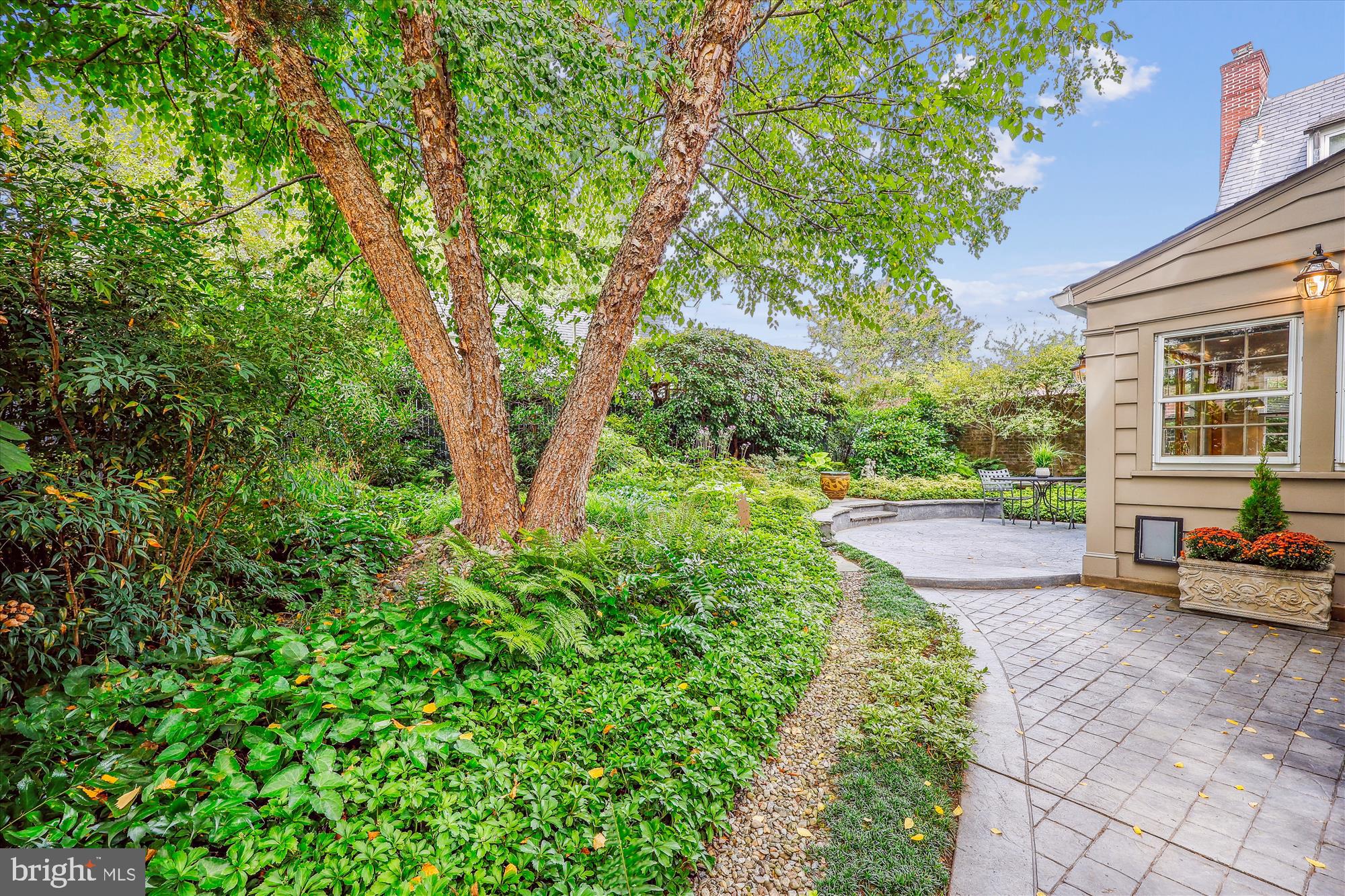 8904 Colesville Road Silver Spring, MD 20910 - Photo 22 of 94 Rear Yard