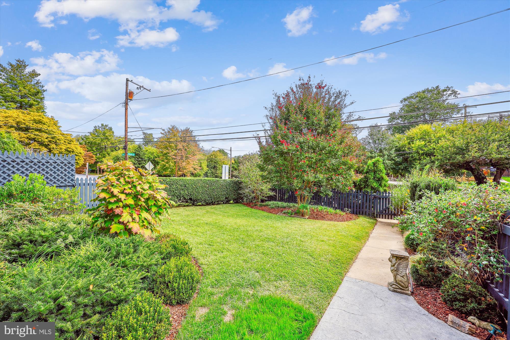 8904 Colesville Road Silver Spring, MD 20910 - Photo 81 of 94 Front Yard