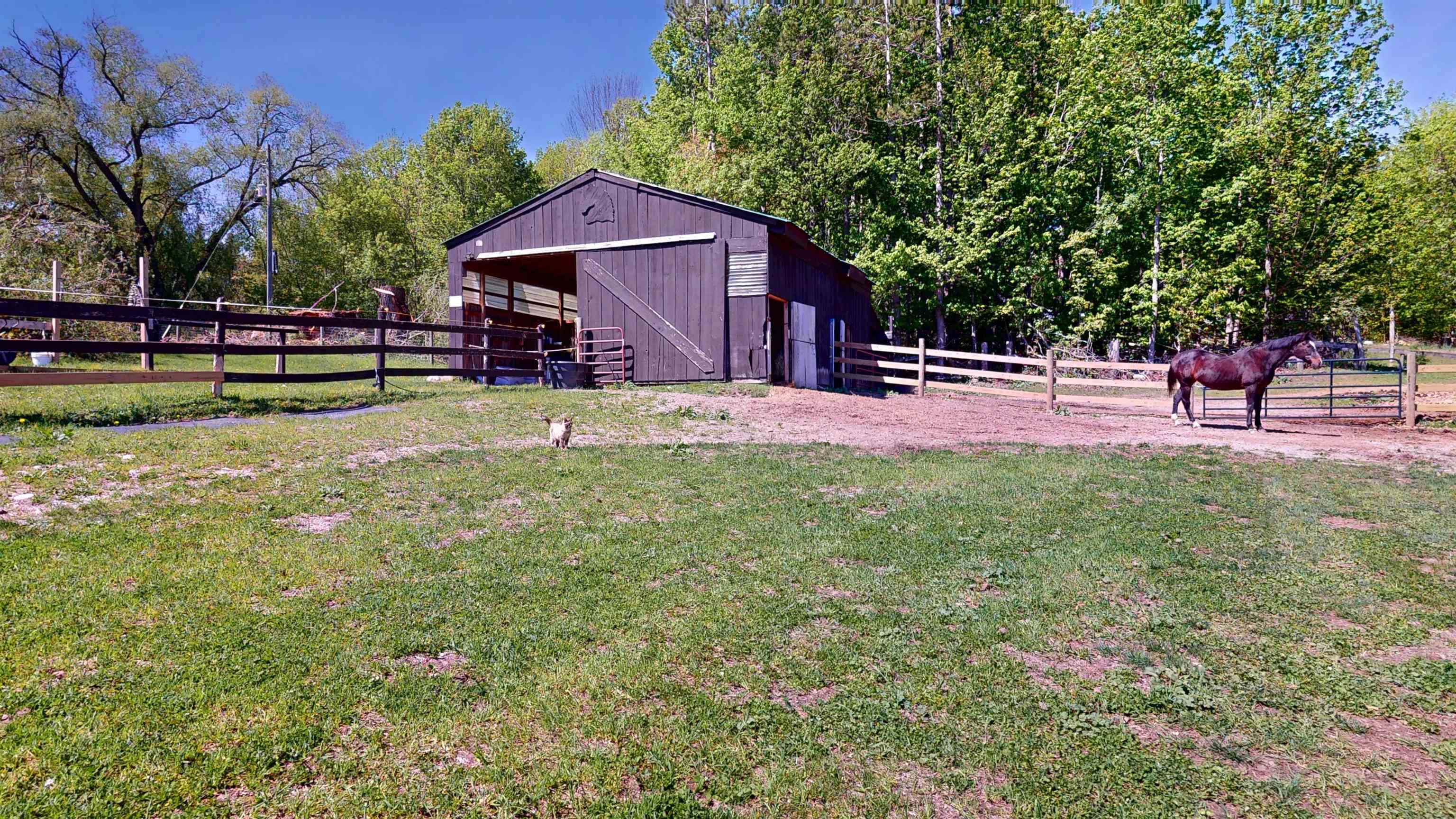 8807 Rogers Road East Jordan, MI 49727 - Photo 16 of 64