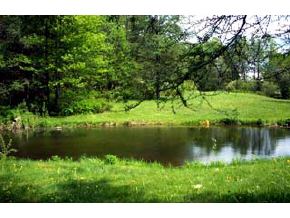 2039 N Road Maidstone, VT 05905 - Photo 2 of 5