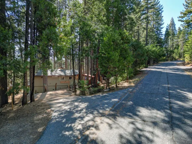 a view of a backyard with large trees