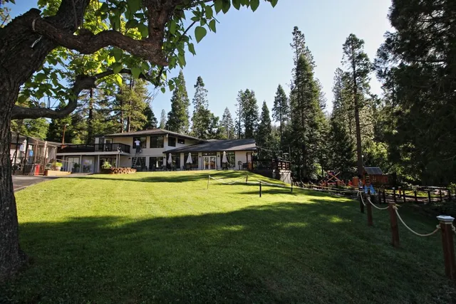 a view of a park with large trees