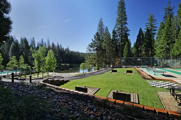 a view of a backyard with sitting area