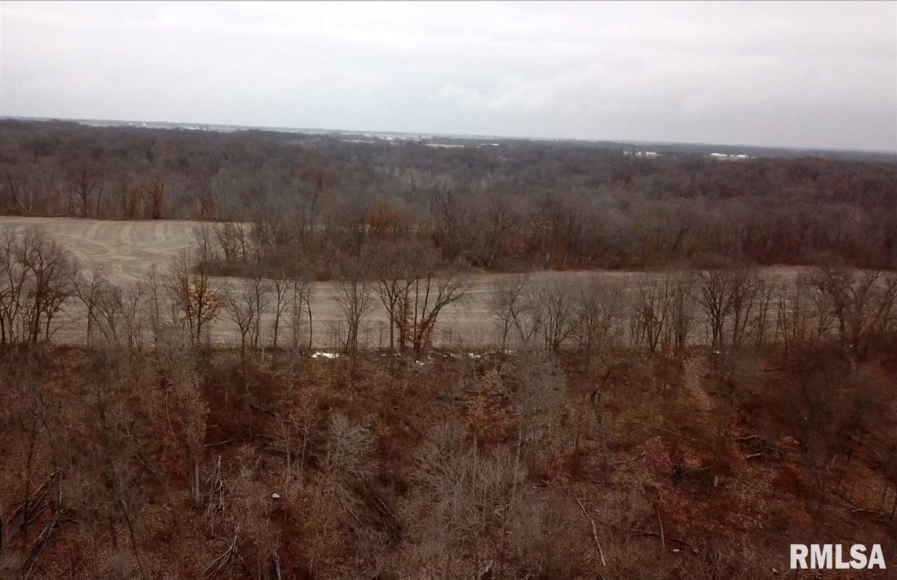 0 North Round Barn Road Smithfield, IL 61477 - Photo 17 of 29