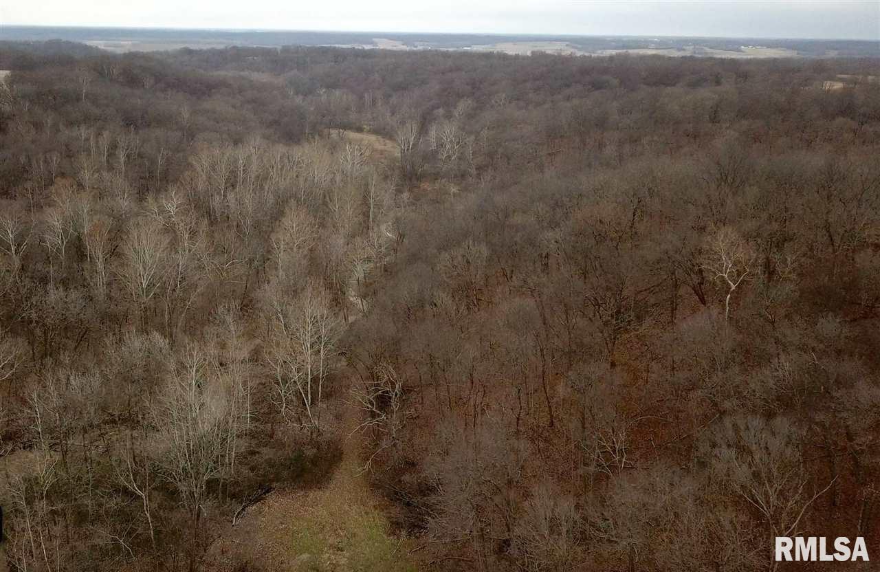 0 North Round Barn Road Smithfield, IL 61477 - Photo 28 of 29