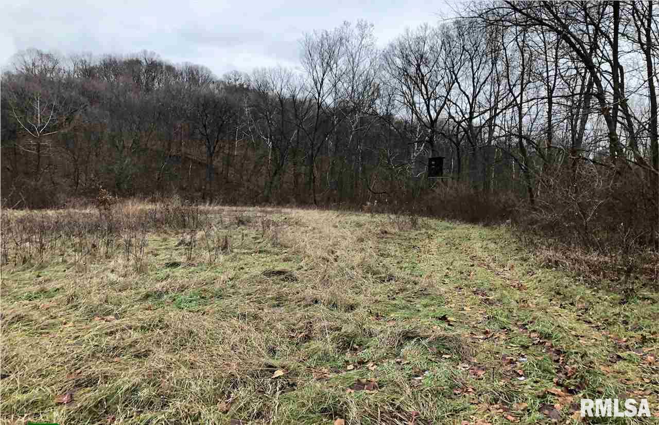 0 North Round Barn Road Smithfield, IL 61477 - Photo 8 of 29
