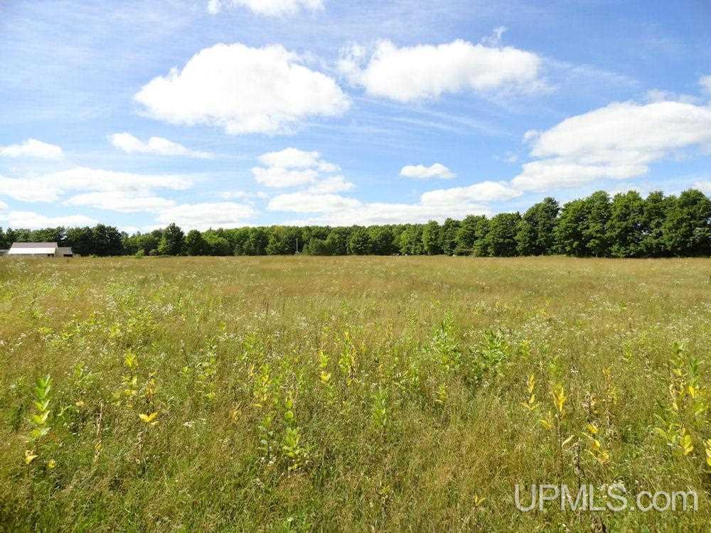 N5058 Benson Road Chatham, MI 49816 - Photo 14 of 31