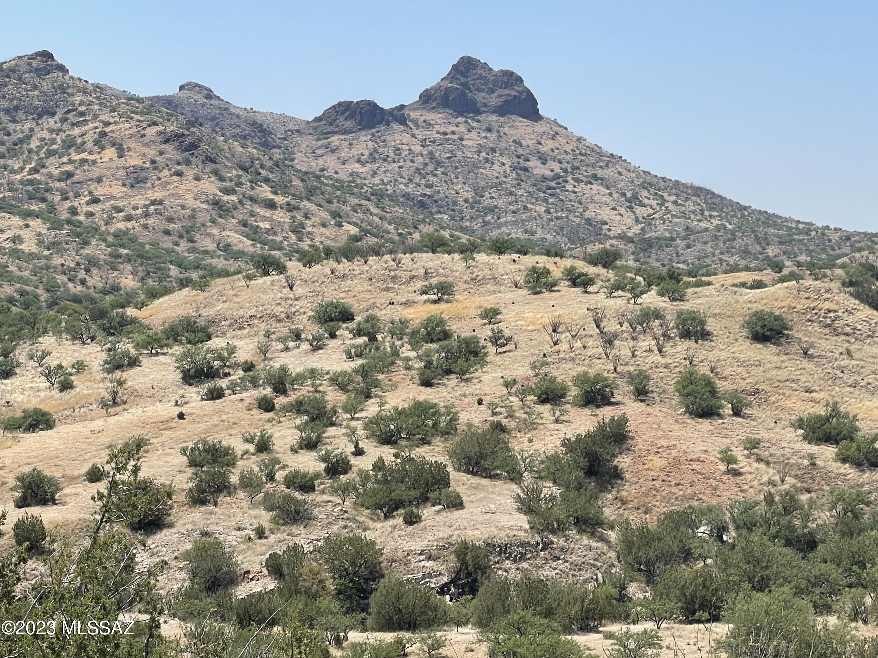 0 Montezuma Well Road, Unit 162 Rio Rico, AZ 85648 - Photo 22 of 26
