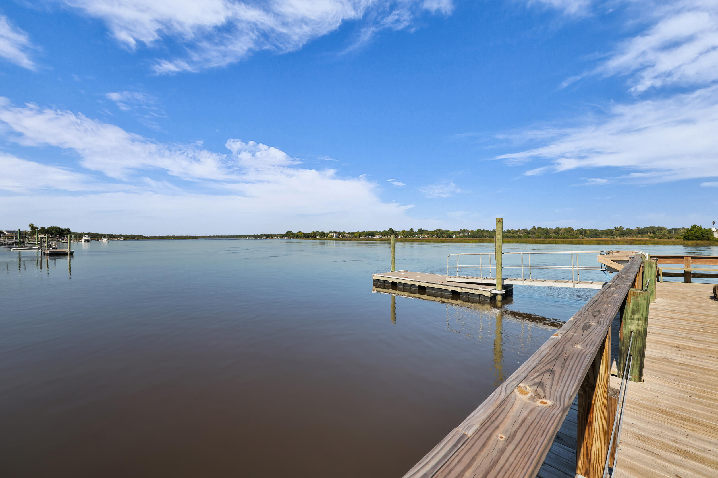 2362 Brevard Road Charleston, SC 29414 - Photo 46 of 57 91_550a1312